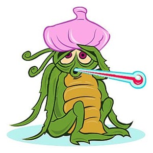 Artist rendition of Johnston prior to the Aventinus loss Sunday night